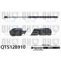 Quinton Hazell QTS128910 Gasveer achterklep