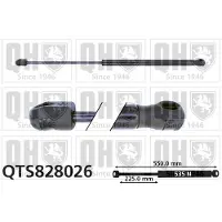 Quinton Hazell QTS828026 Gasveer achterklep