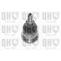 Quinton Hazell QSJ3456S Fuseekogel