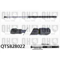 Quinton Hazell QTS828022 Gasveer achterklep