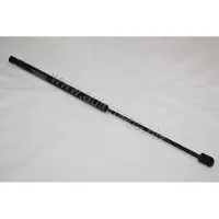 AUTOMEGA 3001320721 Gasveer achterklep