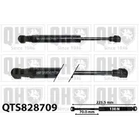Quinton Hazell QTS828709 Gasveer, legbodem (Koffer- / Laadruimte)