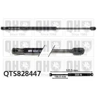 Quinton Hazell QTS828447 Gasveer achterklep