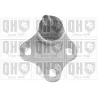 Quinton Hazell QSJ3494S Fuseekogel