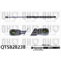 Quinton Hazell QTS828238 Gasveer achterklep