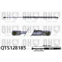 Quinton Hazell QTS128185 Gasveer achterklep