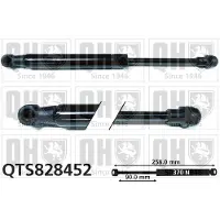 Quinton Hazell QTS828452 Gasveer achterklep