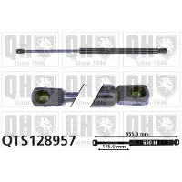 Quinton Hazell QTS128957 Gasveer achterklep