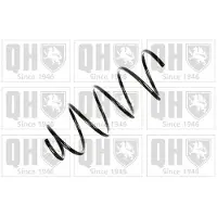 Quinton Hazell QCS5119 Chassisveer