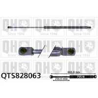 Quinton Hazell QTS828063 Gasveer achterklep