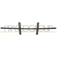 BLIC 6502-07-0066993PQ Ventilatiegrille, bumper
