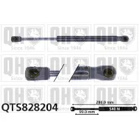 Quinton Hazell QTS828204 Gasveer achterklep