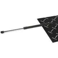 RIDEX 219G1071 Gasveer achterklep