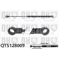 Quinton Hazell QTS128009 Gasveer achterklep