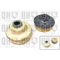 Quinton Hazell EMR4875 Veerpootlager