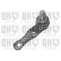 Quinton Hazell QSJ1796S Fuseekogel