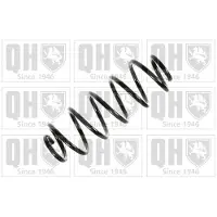 Quinton Hazell QCS6351 Chassisveer