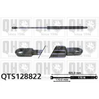 Quinton Hazell QTS128822 Gasveer achterklep