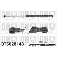 Quinton Hazell QTS828148 Gasveer achterklep