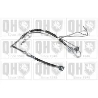 Quinton Hazell BFH6045 Remslang