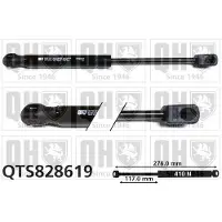 Quinton Hazell QTS828619 Gasveer motorkap