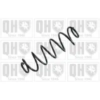 Quinton Hazell QCS6395 Chassisveer
