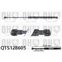 Quinton Hazell QTS128605 Gasveer achterklep