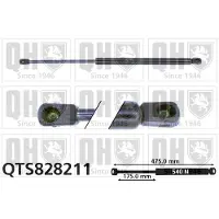 Quinton Hazell QTS828211 Gasveer achterklep