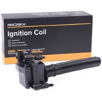 RIDEX 689C0422 Bobine