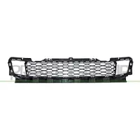 PRASCO BM1072120 Ventilatiegrille, bumper