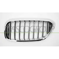 PRASCO BM0522014 Radiator grill