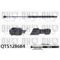 Quinton Hazell QTS128684 Gasveer achterklep