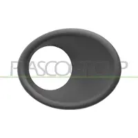 PRASCO PG0111241 Frame, mistlamp