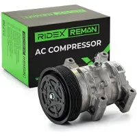 RIDEX 447K0319R Aircopomp