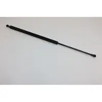 AUTOMEGA 100003110 Gasveer achterklep