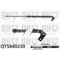 Quinton Hazell QTS840230 Gasveer achterklep