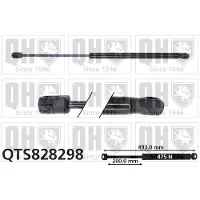 Quinton Hazell QTS828298 Gasveer achterklep