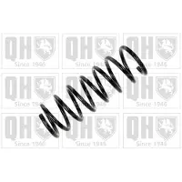Quinton Hazell QCS6692 Chassisveer