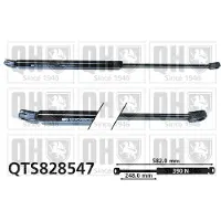 Quinton Hazell QTS828547 Gasveer achterklep