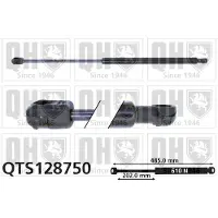 Quinton Hazell QTS128750 Gasveer achterklep
