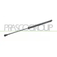 PRASCO TY3209053 Gasveer achterklep