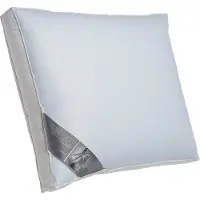 Ten Cate 3-Kamer Eendendonzen Boxkussen 60x70 cm