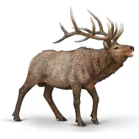Collecta Figurine - Eland - (Xl) - Wilde Dieren - Handgeschilderd - Miniatuur