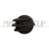 BLIC 6502-07-2036915P Ventilatiegrille, bumper