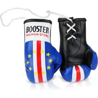 Booster Mini Bokshandschoen Auto Hanger – Kaapverdië Vlag – Auto Spiegel Hanger – Auto Accessoire – Carhanger