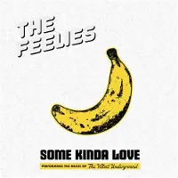 Import The Feelies - Some Kinda Love: The Music Of The Velvet Underground (2 LP) (Coloured Vinyl)