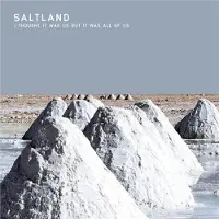 Konkurrent Saltland - I Thought It Was Us But It Was All Of Us (LP)