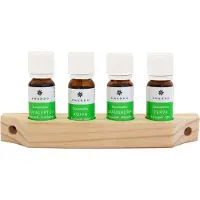 Emendo set Saunageuren 4x10ml - Etherische Olie - Opgietmiddel Sauna