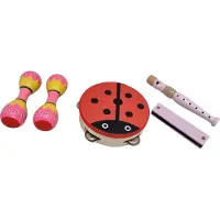 Playwood Houten blokfluit mondharmonica 2 maracas sambaballen en tamboerijn lieveheerbeest geleverd als set