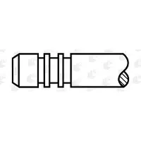 AE V80007 Uitlaatklep